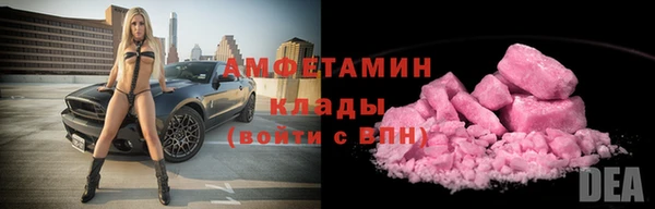 стаф Ельня