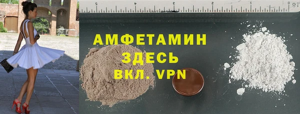стаф Ельня