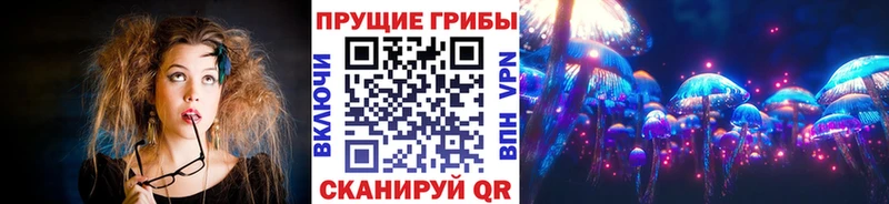 Галлюциногенные грибы Psilocybe  Сураж 